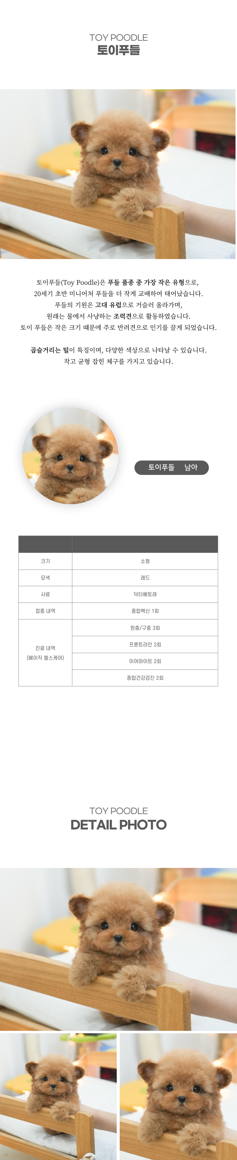 토이푸들_상세이미지_2
